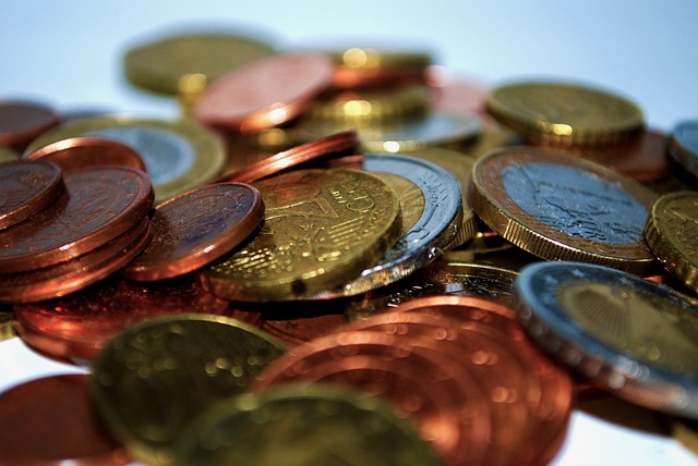 cizí mince